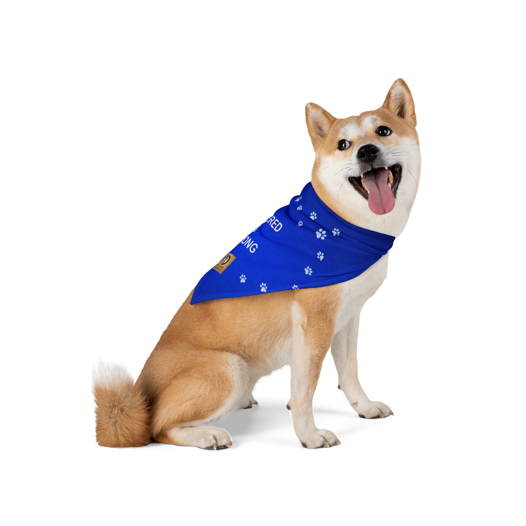 Centered & Strong Pet Bandana - Blue Paw Print Dog Scarf for Calm, Confident Pets