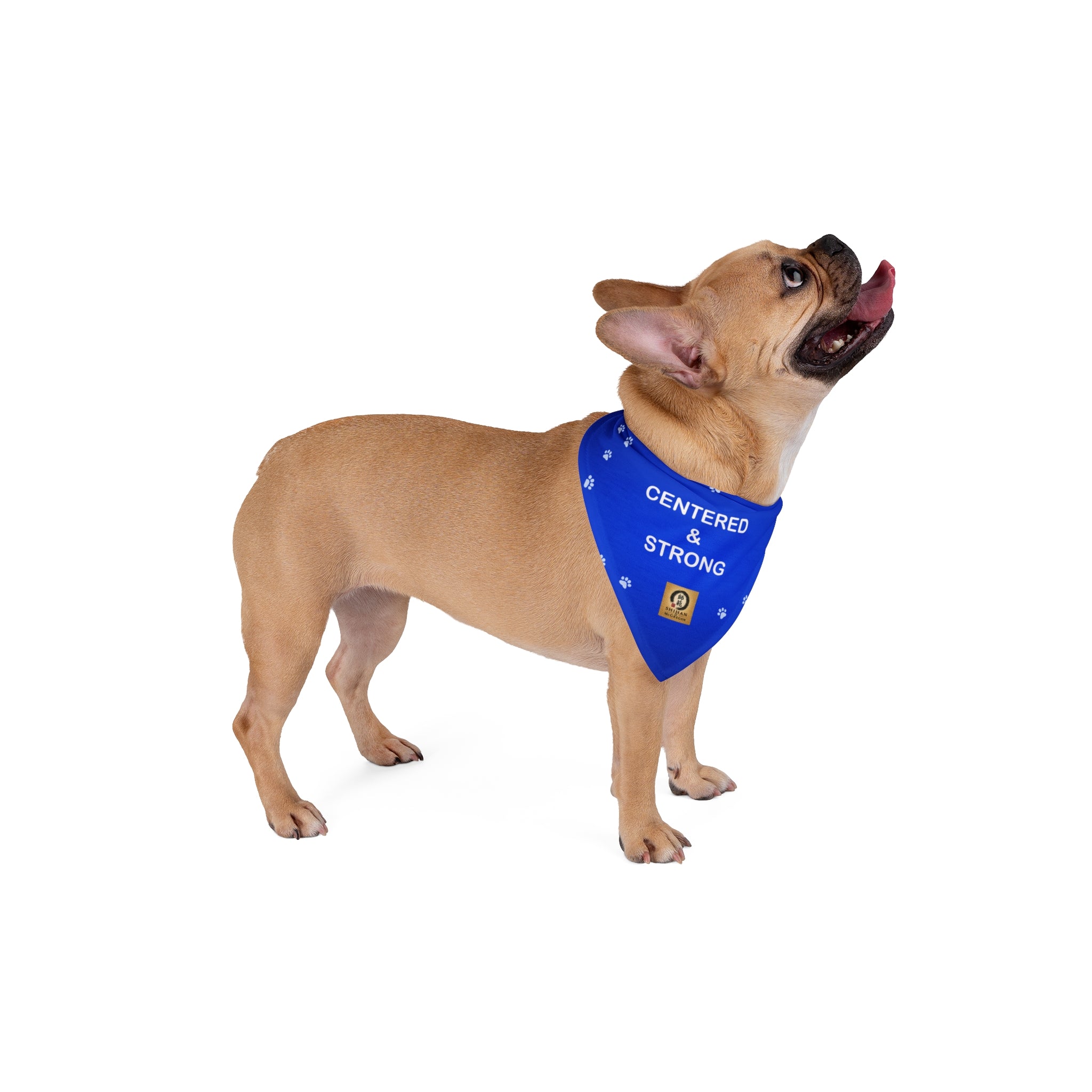 Centered & Strong Pet Bandana - Blue Paw Print Dog Scarf for Calm, Confident Pets